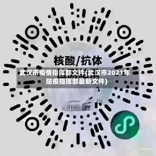 武汉市疫情指挥部文件(武汉市2021年防疫指挥部最新文件)
