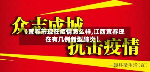 【宜春市现在疫情怎么样,江西宜春现在有几例新型肺炎】