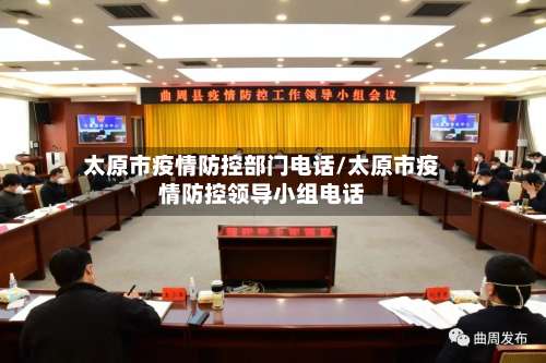 太原市疫情防控部门电话/太原市疫情防控领导小组电话-第2张图片