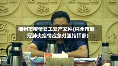 郴州市疫情复工复产文件(郴州市新冠肺炎疫情应急处置指挥部)-第2张图片