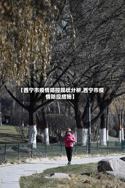 【西宁市疫情防控现状分析,西宁市疫情防控措施】-第2张图片