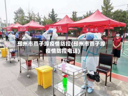 邳州市燕子埠疫情防控(邳州市燕子埠疫情防控电话)