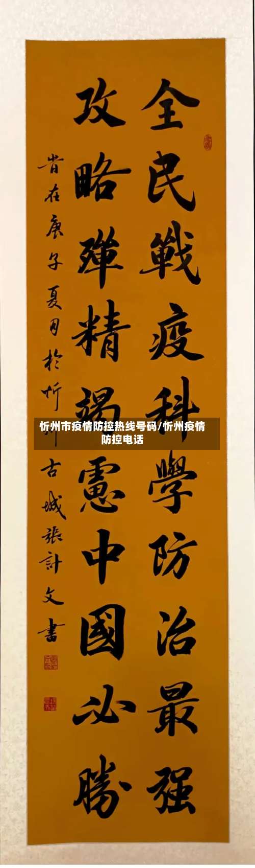 忻州市疫情防控热线号码/忻州疫情防控电话