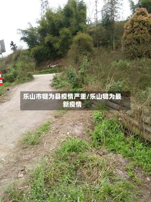 乐山市犍为县疫情严重/乐山犍为最新疫情-第2张图片