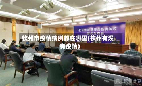 钦州市疫情病例都在哪里(钦州有没有疫情)