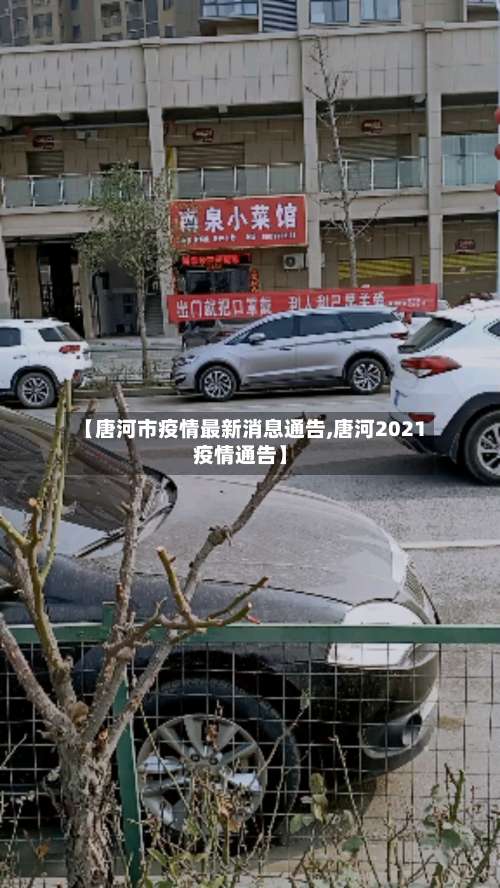 【唐河市疫情最新消息通告,唐河2021疫情通告】