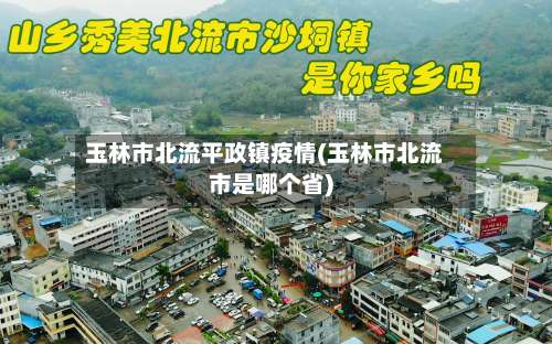 玉林市北流平政镇疫情(玉林市北流市是哪个省)-第2张图片