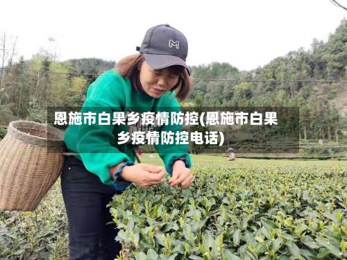 恩施市白果乡疫情防控(恩施市白果乡疫情防控电话)-第2张图片