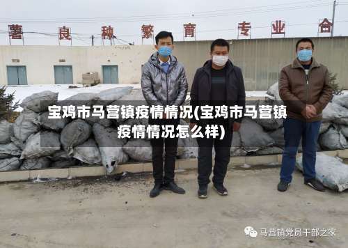 宝鸡市马营镇疫情情况(宝鸡市马营镇疫情情况怎么样)-第2张图片