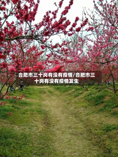 合肥市三十岗有没有疫情/合肥市三十岗有没有疫情发生-第2张图片