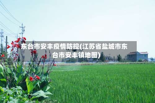 东台市安丰疫情防控(江苏省盐城市东台市安丰镇地图)