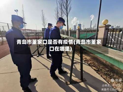 青岛市董家口是否有疫情(青岛市董家口在哪里)