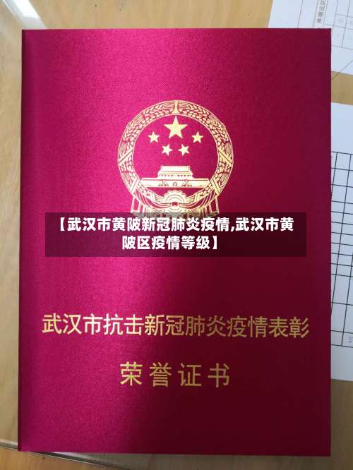 【武汉市黄陂新冠肺炎疫情,武汉市黄陂区疫情等级】-第2张图片