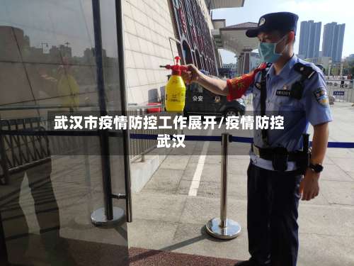 武汉市疫情防控工作展开/疫情防控 武汉-第2张图片
