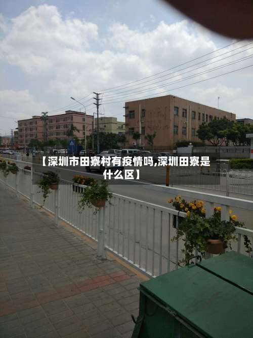 【深圳市田寮村有疫情吗,深圳田寮是什么区】-第2张图片