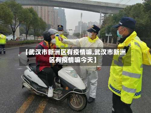 【武汉市新洲区有疫情嘛,武汉市新洲区有疫情嘛今天】-第2张图片