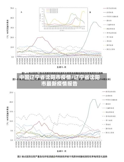 中国辽宁省沈阳市疫情/辽宁省沈阳市最新疫情报告