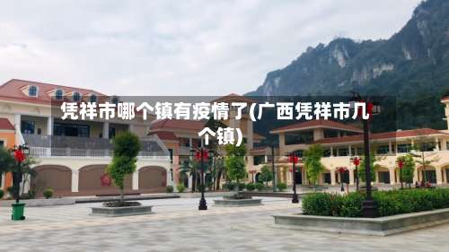 凭祥市哪个镇有疫情了(广西凭祥市几个镇)