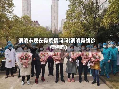 铜陵市现在有疫情吗吗(铜陵有确诊病例吗)-第2张图片