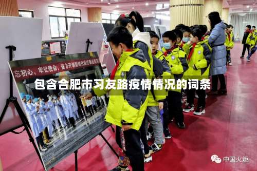 包含合肥市习友路疫情情况的词条