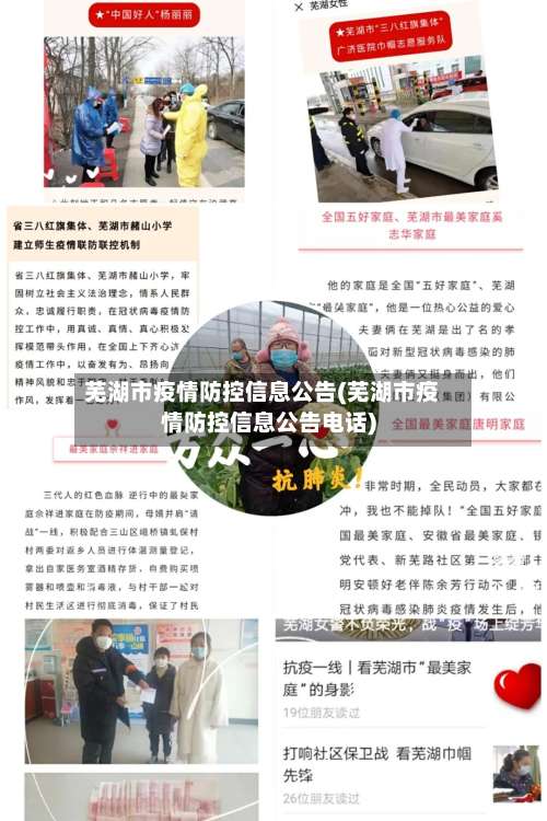 芜湖市疫情防控信息公告(芜湖市疫情防控信息公告电话)