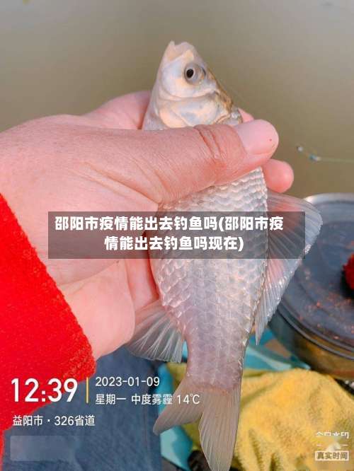 邵阳市疫情能出去钓鱼吗(邵阳市疫情能出去钓鱼吗现在)