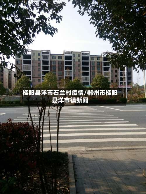 桂阳县洋市石兰村疫情/郴州市桂阳县洋市镇新闻-第2张图片