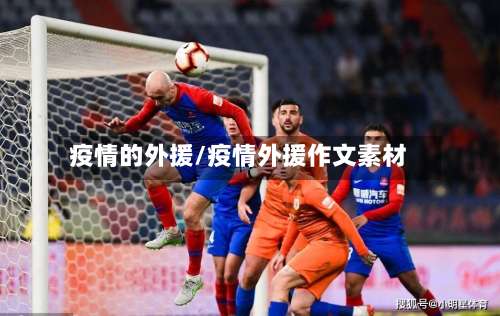 疫情的外援/疫情外援作文素材