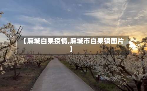 【麻城白果疫情,麻城市白果镇图片】-第3张图片