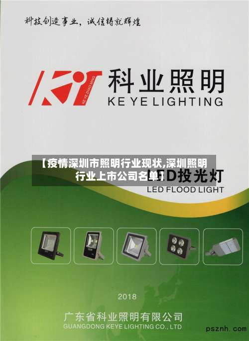 【疫情深圳市照明行业现状,深圳照明行业上市公司名单】