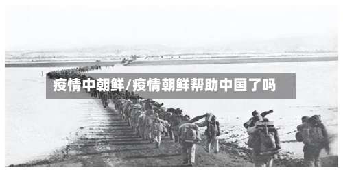 疫情中朝鲜/疫情朝鲜帮助中国了吗-第3张图片