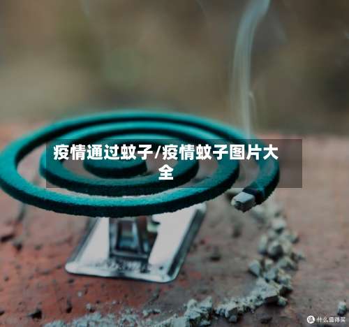 疫情通过蚊子/疫情蚊子图片大全