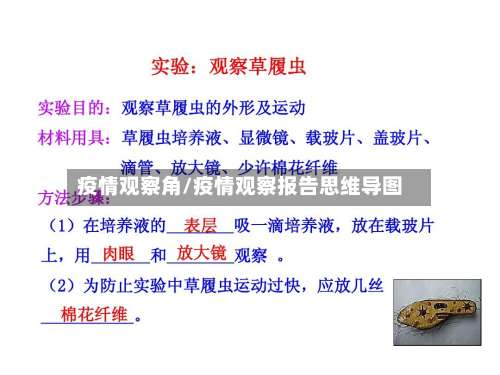 疫情观察角/疫情观察报告思维导图