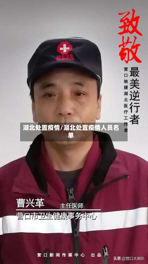湖北处置疫情/湖北处置疫情人员名单