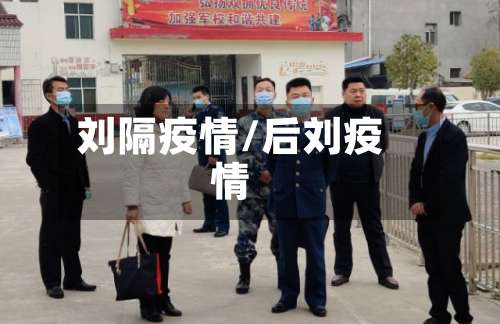 刘隔疫情/后刘疫情-第2张图片
