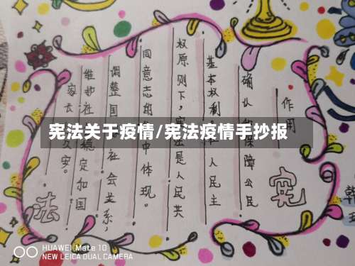 宪法关于疫情/宪法疫情手抄报-第2张图片