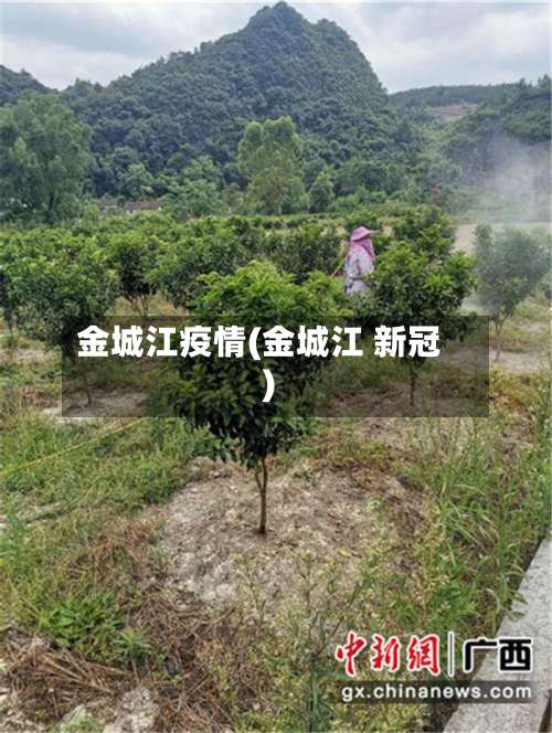 金城江疫情(金城江 新冠)