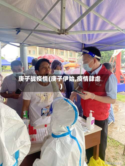 庚子战疫情(庚子伊始,疫情肆虐)-第2张图片