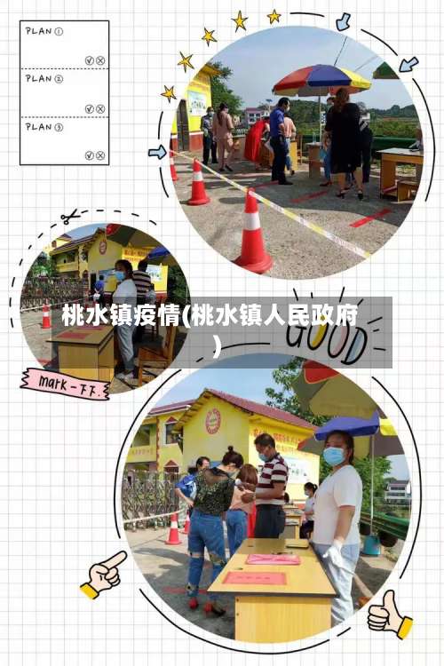桃水镇疫情(桃水镇人民政府)-第2张图片