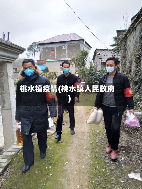 桃水镇疫情(桃水镇人民政府)