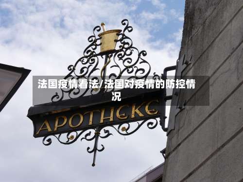 法国疫情看法/法国对疫情的防控情况-第2张图片