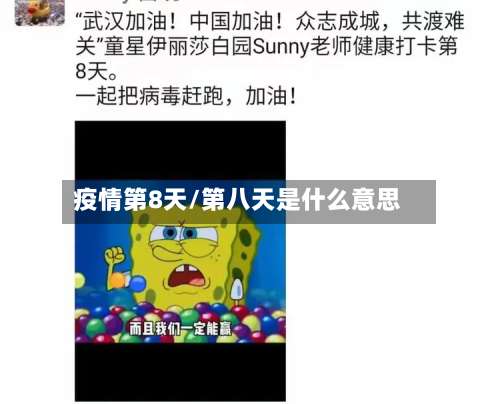 疫情第8天/第八天是什么意思