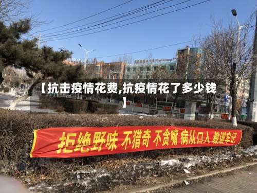 【抗击疫情花费,抗疫情花了多少钱】-第2张图片