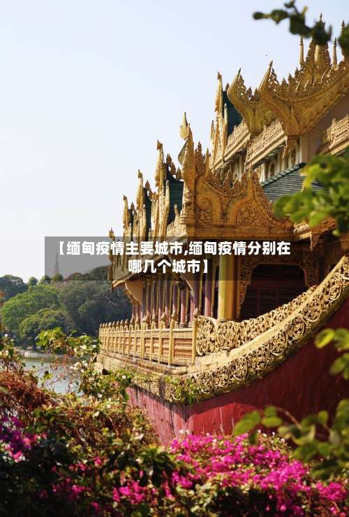 【缅甸疫情主要城市,缅甸疫情分别在哪几个城市】-第3张图片