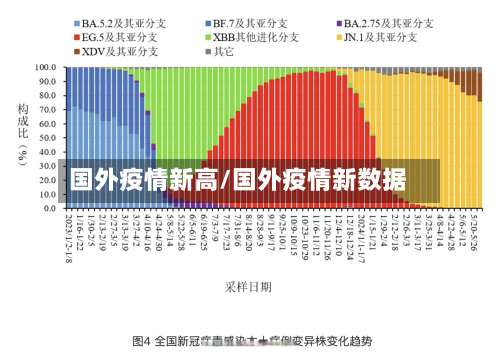 国外疫情新高/国外疫情新数据