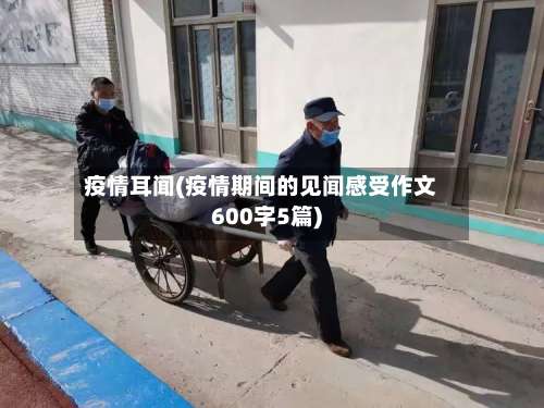 疫情耳闻(疫情期间的见闻感受作文600字5篇)