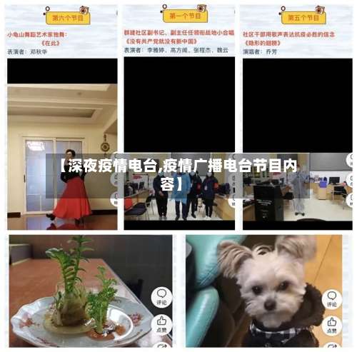【深夜疫情电台,疫情广播电台节目内容】-第2张图片