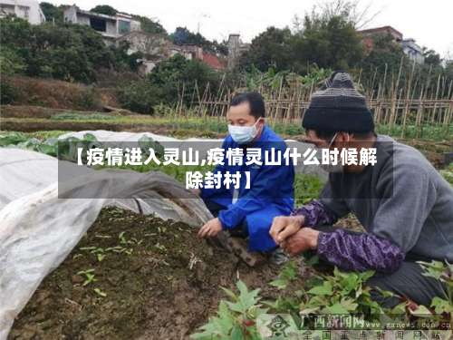 【疫情进入灵山,疫情灵山什么时候解除封村】-第2张图片