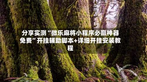 分享实测“微乐麻将小程序必赢神器免费”开挂辅助脚本+详细开挂安装教程-第2张图片