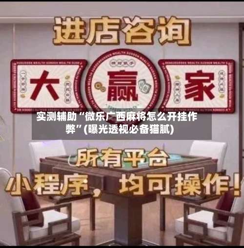 实测辅助“微乐广西麻将怎么开挂作弊”(曝光透视必备猫腻)-第2张图片